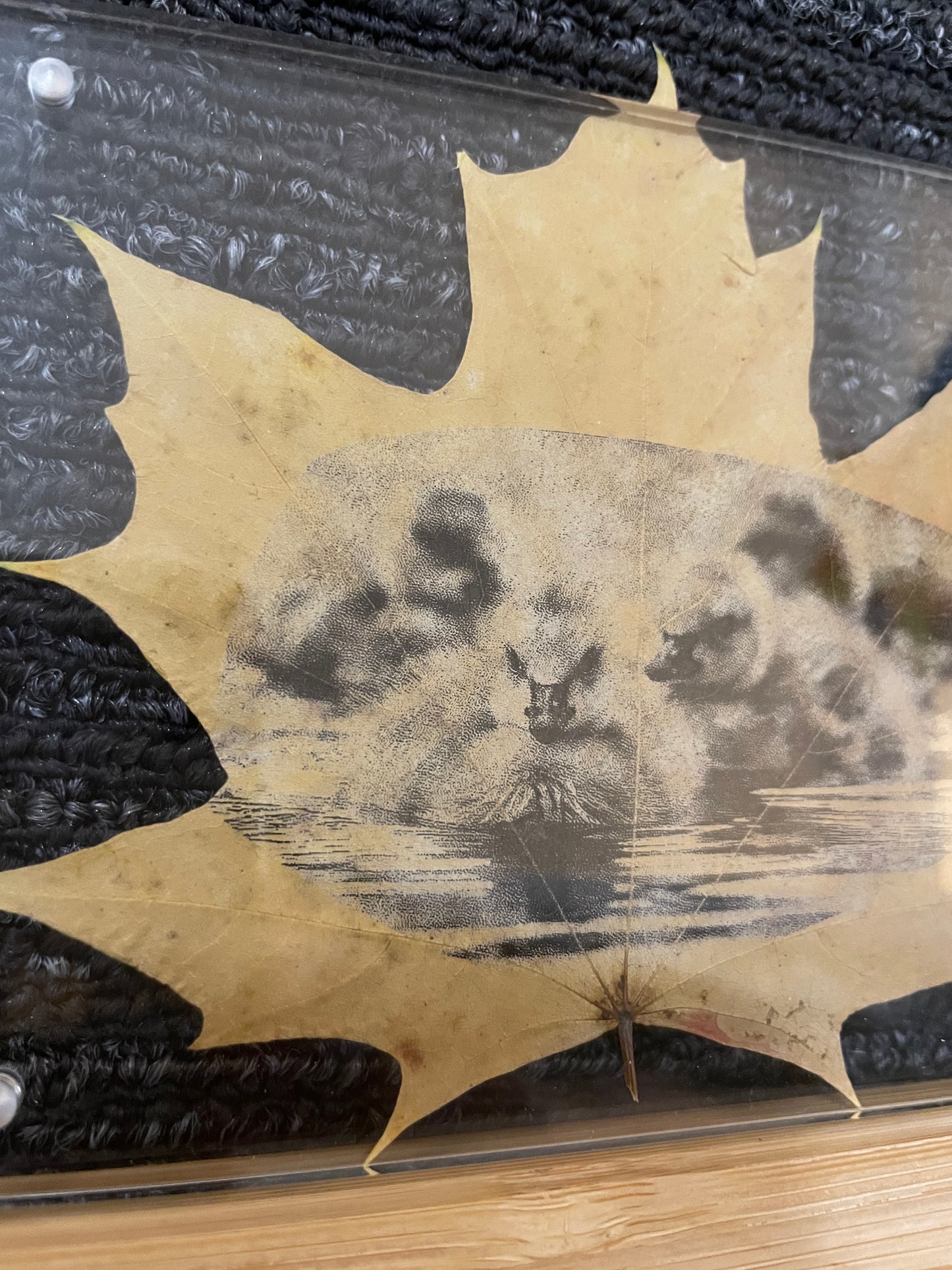 Custom Engraved Maple Leaf | Medium Size